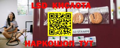 прущие грибы Абакан