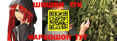 прущие грибы Абакан