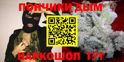 прущие грибы Абакан