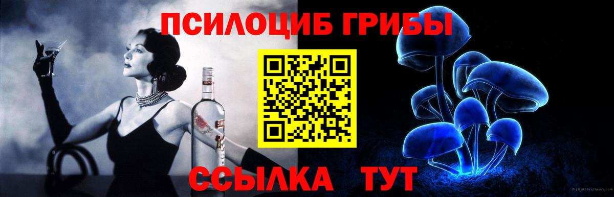 Псилоцибиновые грибы GOLDEN TEACHER Омск